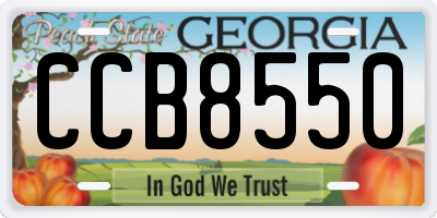 GA license plate CCB8550