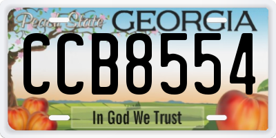 GA license plate CCB8554