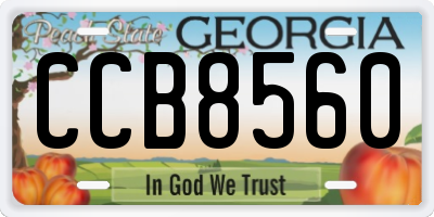 GA license plate CCB8560