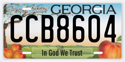 GA license plate CCB8604