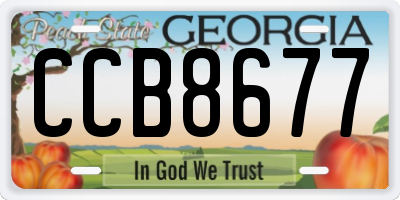 GA license plate CCB8677