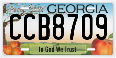 GA license plate CCB8709