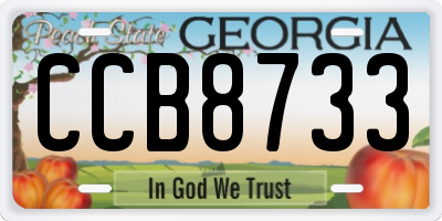 GA license plate CCB8733
