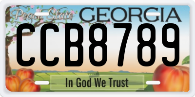 GA license plate CCB8789