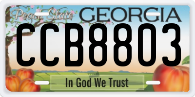 GA license plate CCB8803