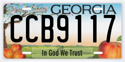 GA license plate CCB9117