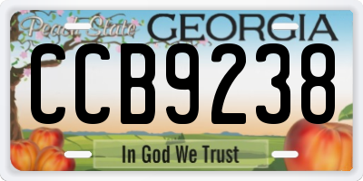 GA license plate CCB9238