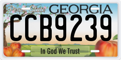 GA license plate CCB9239