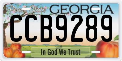 GA license plate CCB9289
