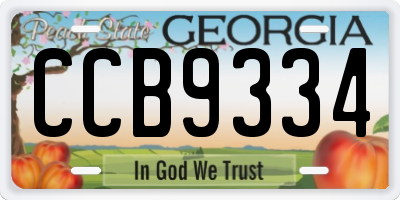 GA license plate CCB9334