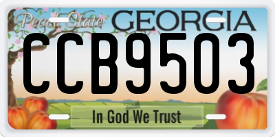 GA license plate CCB9503