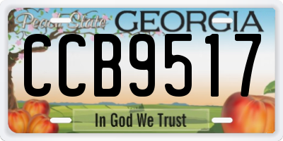 GA license plate CCB9517