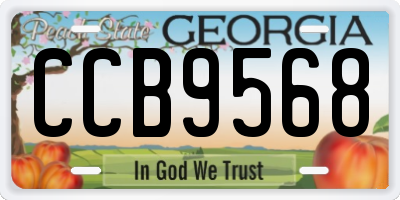 GA license plate CCB9568