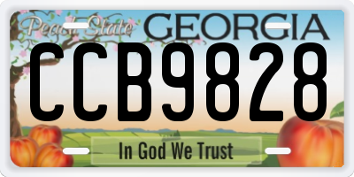 GA license plate CCB9828