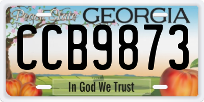 GA license plate CCB9873
