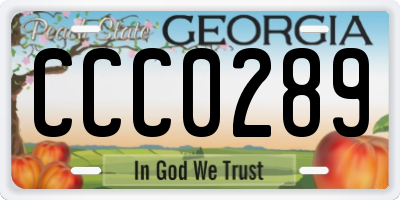 GA license plate CCC0289