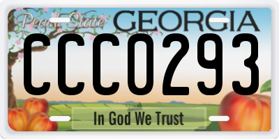 GA license plate CCC0293