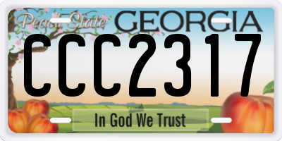 GA license plate CCC2317