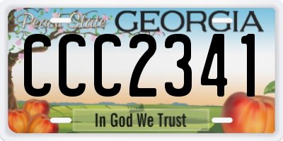 GA license plate CCC2341