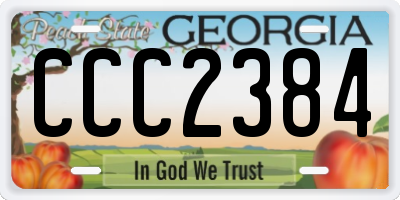 GA license plate CCC2384