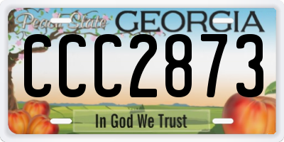 GA license plate CCC2873