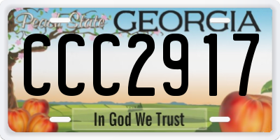 GA license plate CCC2917