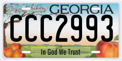 GA license plate CCC2993