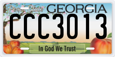 GA license plate CCC3013