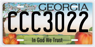 GA license plate CCC3022