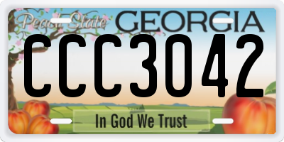 GA license plate CCC3042