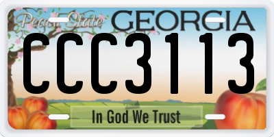 GA license plate CCC3113