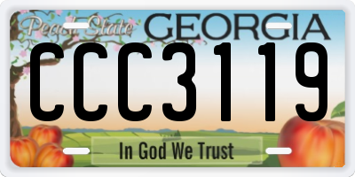GA license plate CCC3119