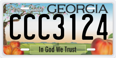 GA license plate CCC3124
