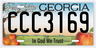 GA license plate CCC3169
