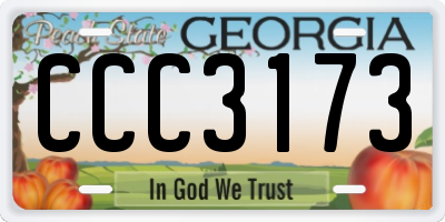 GA license plate CCC3173