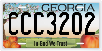 GA license plate CCC3202