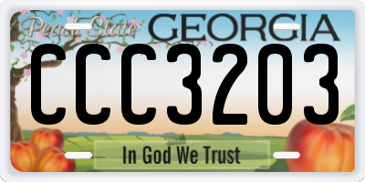 GA license plate CCC3203