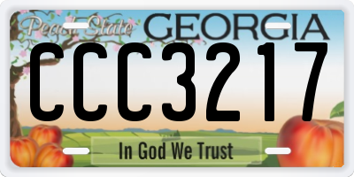 GA license plate CCC3217