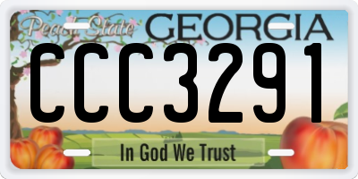 GA license plate CCC3291