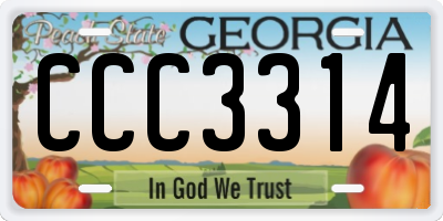 GA license plate CCC3314