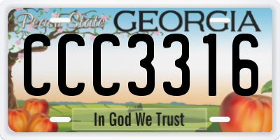 GA license plate CCC3316