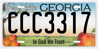 GA license plate CCC3317