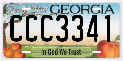 GA license plate CCC3341