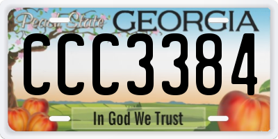GA license plate CCC3384