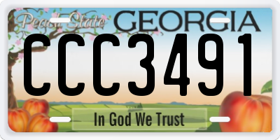 GA license plate CCC3491