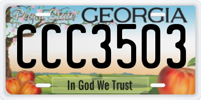 GA license plate CCC3503