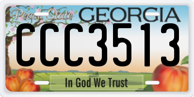 GA license plate CCC3513