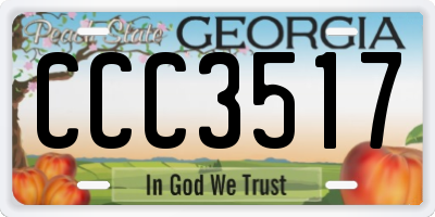 GA license plate CCC3517