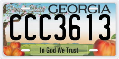 GA license plate CCC3613