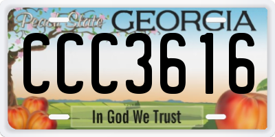 GA license plate CCC3616